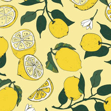 Load image into Gallery viewer, Fresh Lemons Yani Mengoni