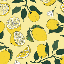 Load image into Gallery viewer, Fresh Lemons
